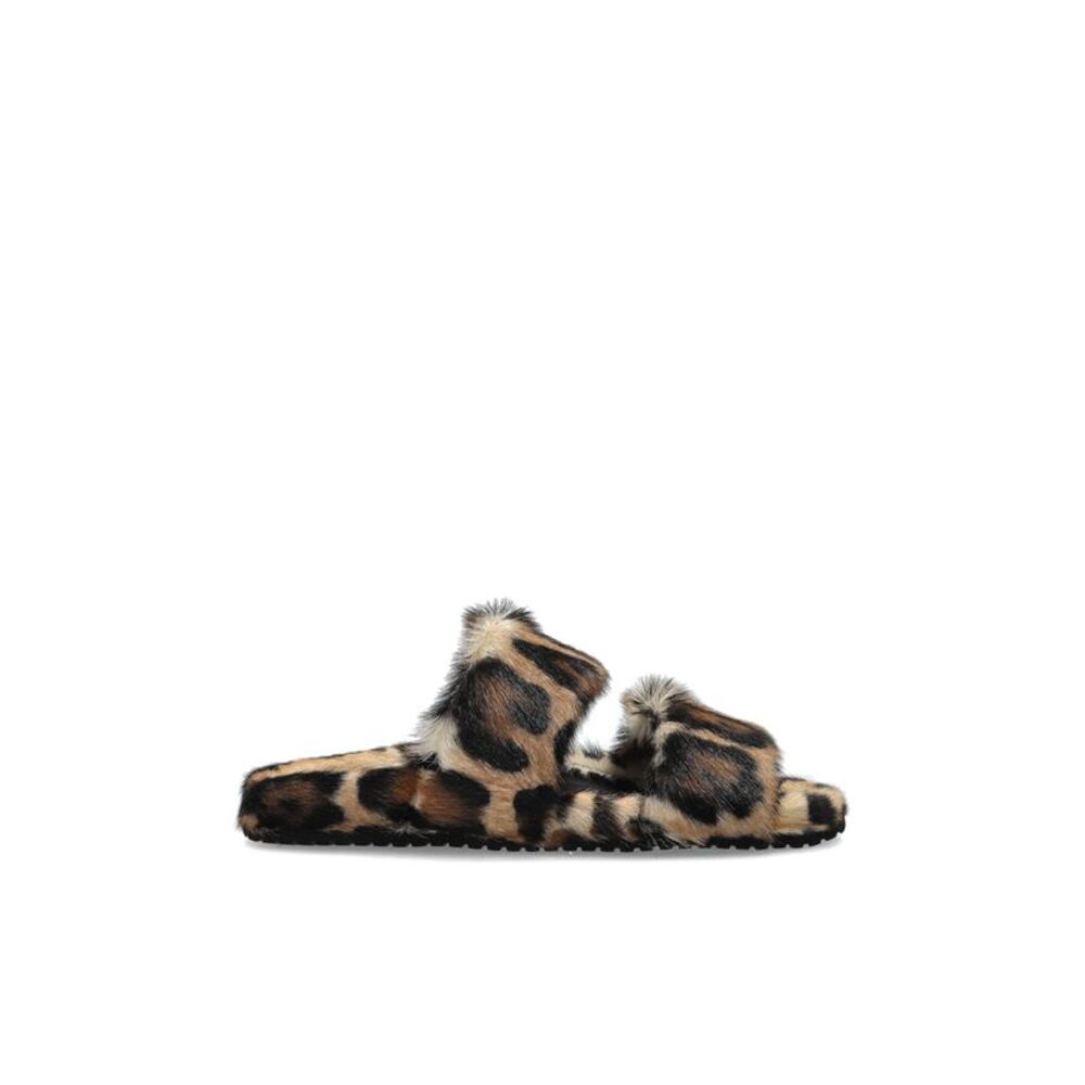โLeoโ slides